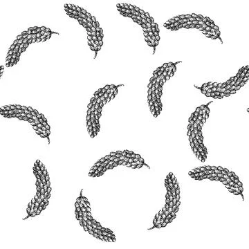 Seamless pattern cereal millet sketch hand drawn Illustrazione stock