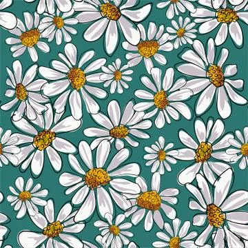 Seamless pattern with chamomile, camomile flowers on white background. Stock Illustration