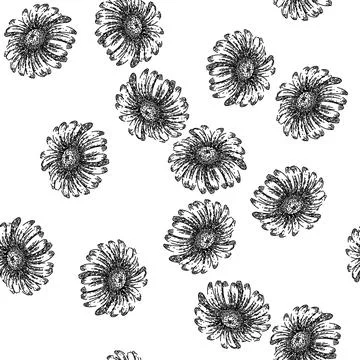 Seamless pattern chamomile daisy flower sketch hand drawn Stock Illustration
