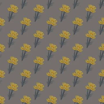 Seamless pattern chamomile on dark gray background. Beautiful ornament summer Stock Illustration