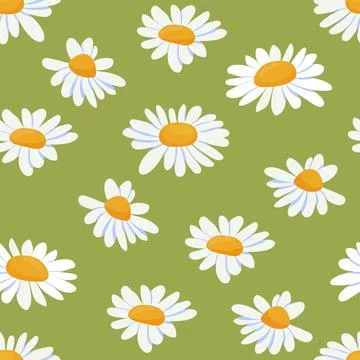 Seamless pattern with chamomile flower, white flowers with a yellow center .. Stock Illustration
