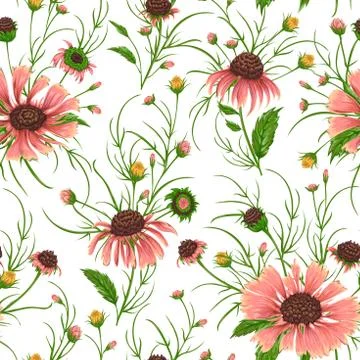 Seamless pattern with chamomile flowers Illustrazione stock