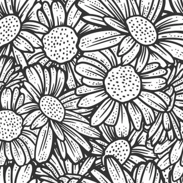 Seamless pattern, chamomile flowers. Sketch scratch board imitation. Stock Illustration