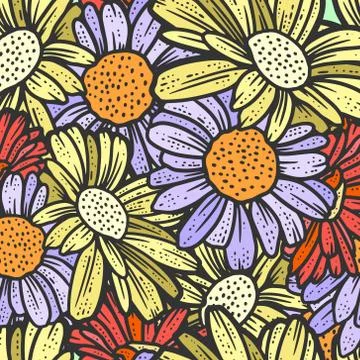 Seamless pattern, chamomile flowers. Sketch scratch board imitation. Stock Illustration