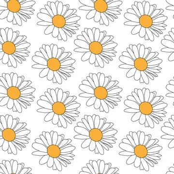 Seamless pattern with chamomile flowers on white background. Stock Illustration