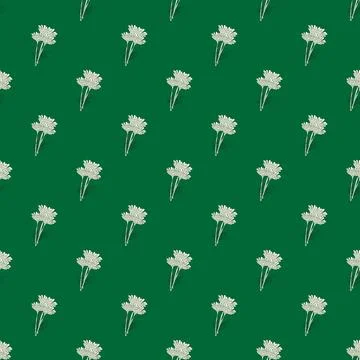 Seamless pattern chamomile on green background. Beautiful ornament summer flo Stock Illustration