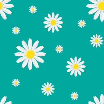 Seamless pattern with chamomile. Vector illustration. Stock Illustration