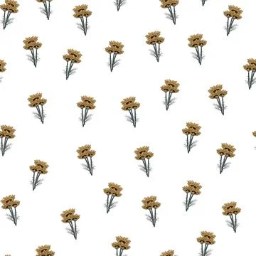 Seamless pattern chamomile on white background. Beautiful ornament summer flo Stock Illustration