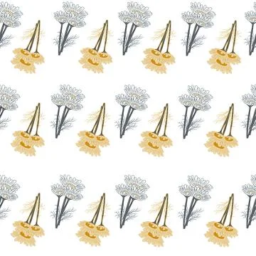 Seamless pattern chamomile on white background. Beautiful ornament summer yel Stock Illustration