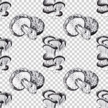 Seamless pattern of champignons and oyster mushrooms, hand drawn with ink pen Stock Illustration