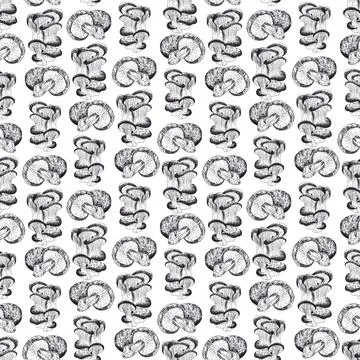 Seamless pattern of champignons and oyster mushrooms, hand drawn with ink pen Stock Illustration