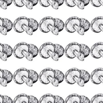 Seamless pattern of champignons mushrooms, hand drawn with ink pen isolated Stock Illustration
