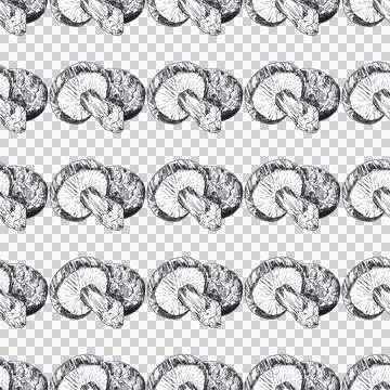 Seamless pattern of champignons mushrooms, hand drawn with ink pen isolated Stock Illustration