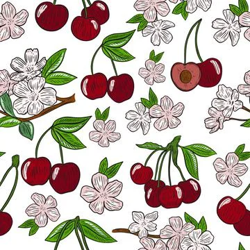 Seamless pattern with cherries and flowers vector. Blooming cherry tree. Stock Illustration