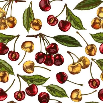 Seamless pattern of cherry berries with whole and half fruits. Vector with re Stock Illustration