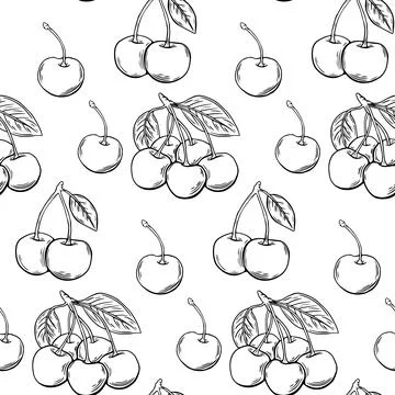 Seamless pattern, cherry berry sketch, etching. black and white line drawing  Stock Illustration