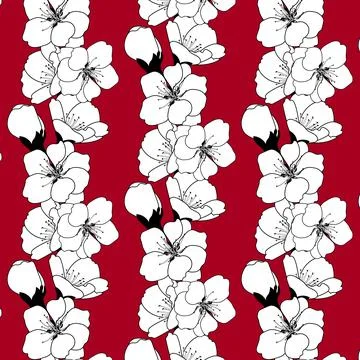 Seamless pattern of cherry blossom on dark red background. Sakura Japanese .. Stock Illustration