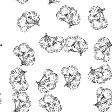 Seamless pattern cherry branch sketch hand drawn Illustrazione stock