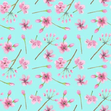 Seamless pattern with cherry flowers and buds on a blue background. Stock Illustration