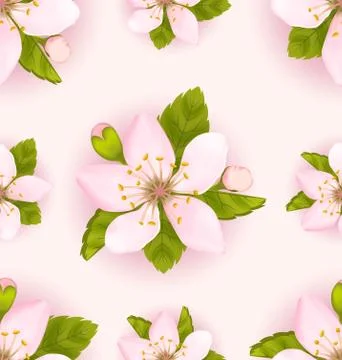 Seamless Pattern with Cherry Flowers, Repeating Romantic Backdrop Stock Illustration