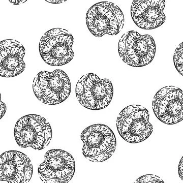 Seamless pattern cherry pit sketch hand drawn Illustrazione stock