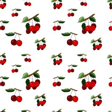Seamless pattern with cherry Stock illustration, vector, 스톡 일러스트