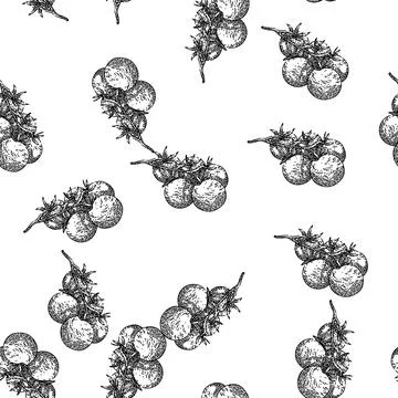 Seamless pattern cherry tomatoes sketch hand drawn Stock Illustration