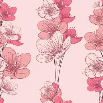 Seamless pattern with cherry tree blossom. Stock Illustration
