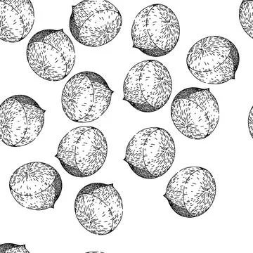 Seamless pattern chestnut chestnut sketch hand drawn Illustrazione stock