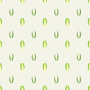 Seamless pattern Chicory cabbage on beige background. Minimalism ornament wit Stock Illustration