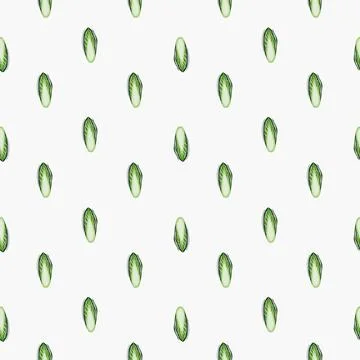 Seamless pattern Chicory cabbage on light gray background. Minimalism ornamen Stockillustratie