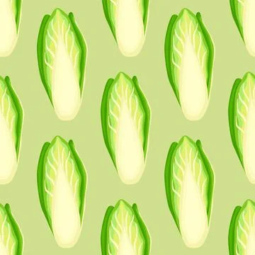 Seamless pattern Chicory cabbage on pastel green background. Simple ornament  Stock Illustration