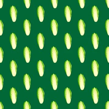 Seamless pattern Chicory cabbage on teal background. Simple ornament with let Illustrazione stock