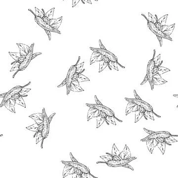 Seamless pattern chili pepper sketch hand drawn Stock Illustration