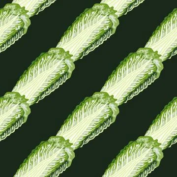 Seamless pattern Chinese cabbage on dark background. Simple ornament with let イラスト素材