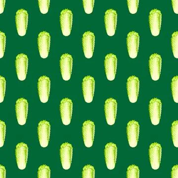 Seamless pattern Chinese cabbage on teal background. Minimalism ornament with Stock Illustration