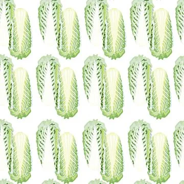 Seamless pattern Chinese cabbage on white background. Simple ornament with le イラスト素材