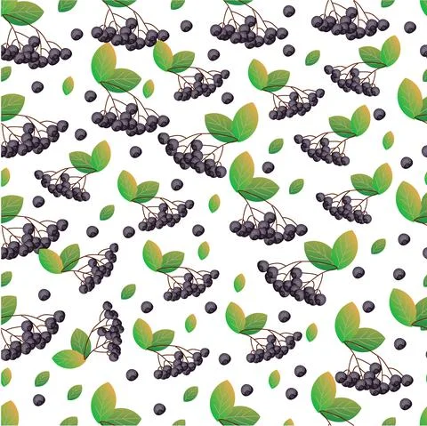 Seamless pattern with chokeberry Stock Illustration