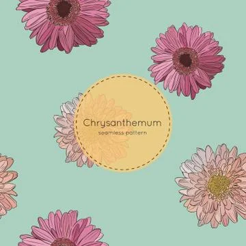 Seamless pattern with chrysanthemum flowers. Vector illustration Stock Illustration