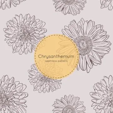 Seamless pattern with chrysanthemum flowers. Vector illustration Stock Illustration