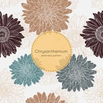 Seamless pattern with chrysanthemum flowers. Vector illustration Stock Illustration