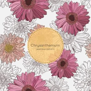 Seamless pattern with chrysanthemum flowers. Vector illustration Stock Illustration