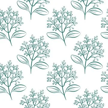 Seamless pattern with cinnamon flower branch drawn in line art style on white Stock Illustration