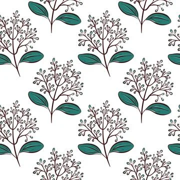 Seamless pattern with cinnamon flower branch drawn in flat style on white Stock Illustration