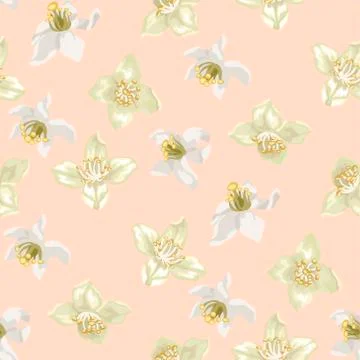 Seamless pattern with citrus and jasmine flowers Stock Illustration