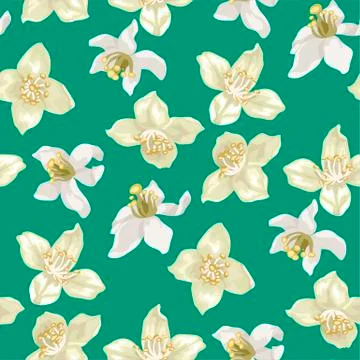 Seamless pattern with citrus and jasmine flowers Stock Illustration