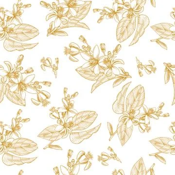 Seamless pattern citrus fruit leaves, branches, flowers Stock Illustration