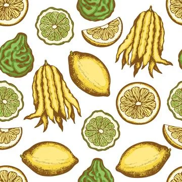 Seamless pattern with citrus fruits. Stock Illustration