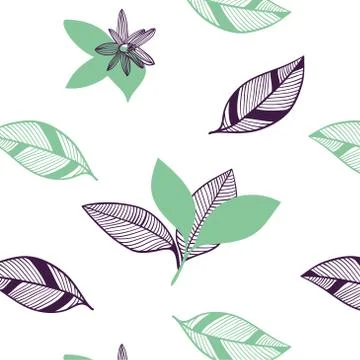 Seamless pattern of citrus leaves and flowers. Botanic vector hand drawn illu Stock Illustration