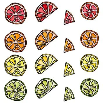 Seamless Pattern of Citrus Lemon, Orange, Lime, Grapefruite. Stock Illustration